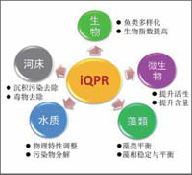 iqpr水體修復(fù)技術(shù) 創(chuàng)新技術(shù)演示區(qū) 第1張