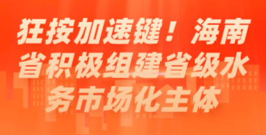 狂按加速鍵！海南省積極組建省級水務市場化主體